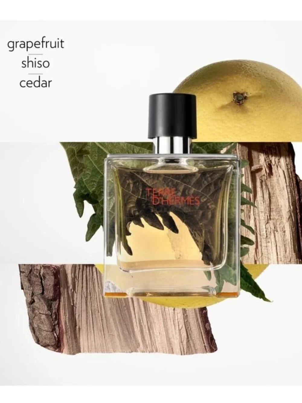 Hermes Terre d’Hermes EDT,Woody-Mini 5ml,0.17oz-Abstract Horse Blue Gift Box-NEW